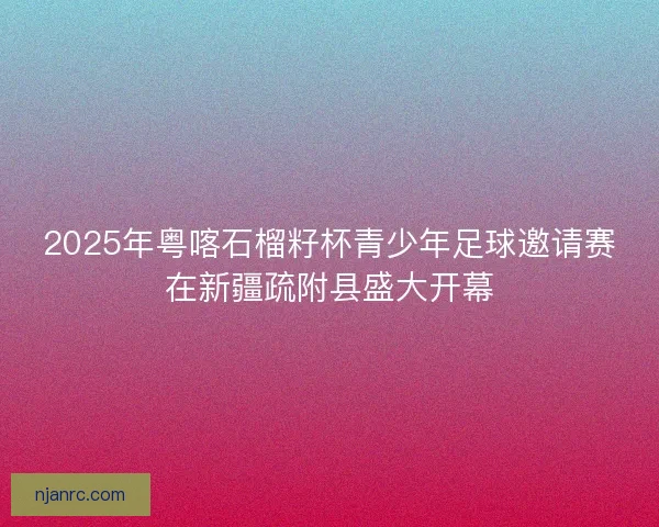 2025年粤喀石榴籽杯青少年足球邀请赛在新疆疏附县盛大开幕