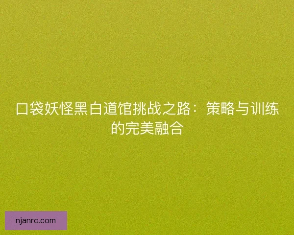 口袋妖怪黑白道馆挑战之路：策略与训练的完美融合